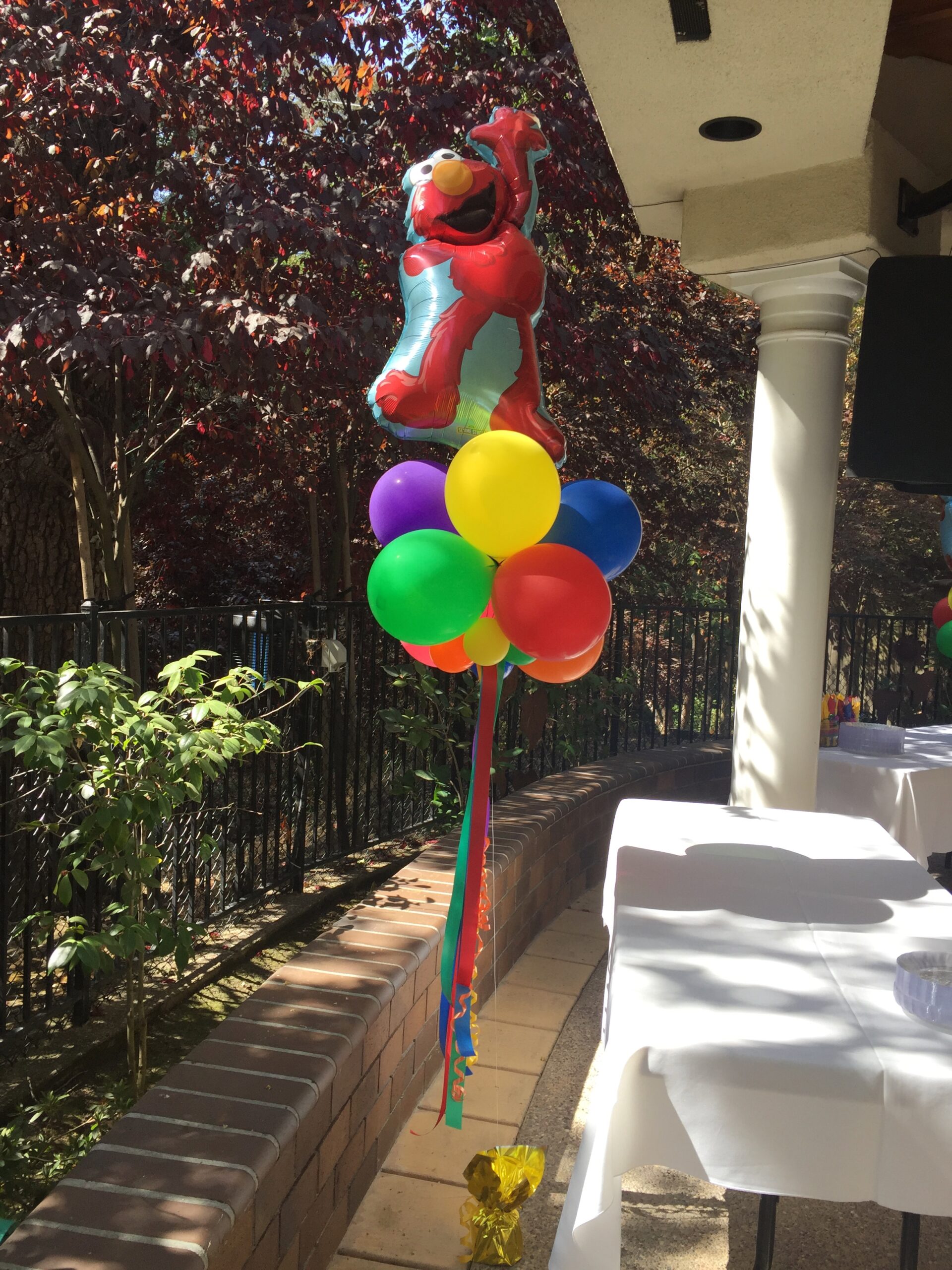 elmo-kite